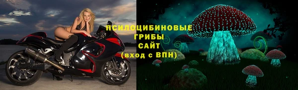 бошки Абдулино