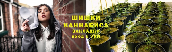 ГАЛЛЮЦИНОГЕННЫЕ ГРИБЫ Алзамай