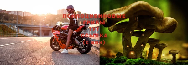 бошки Абдулино