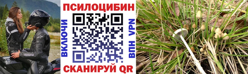 Псилоцибиновые грибы Magic Shrooms  Клинцы 