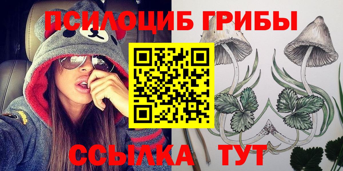 Клинцы  Галлюциногенные грибы ЛСД  Вход с VPN 