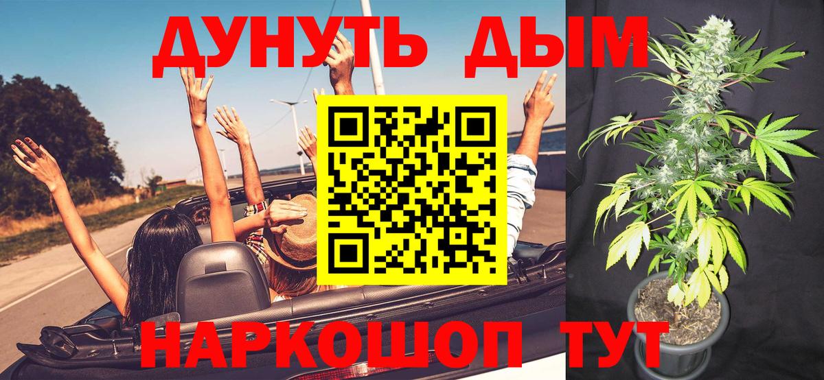 Бошки Шишки OG Kush  МАРИХУАНА план  Марихуана THC 21%  Вход с VPN  Бошки марихуана сатива  Клинцы 